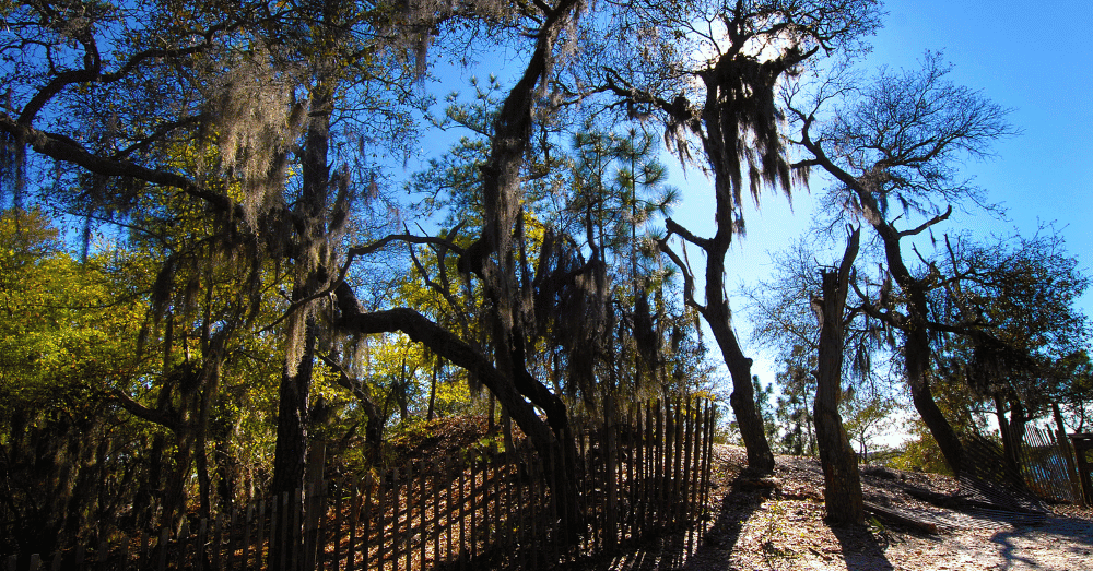 Best Southern Campsites for Spring RV Trips - Carolina Beach2
