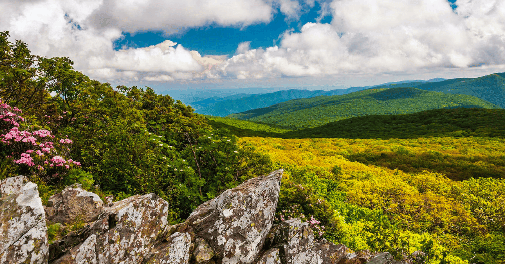 Best Southern Campsites for Spring RV Trips - Shenandoah National Park
