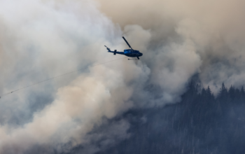 Canada’s Wildfires: Climate Change or Human Actions?
