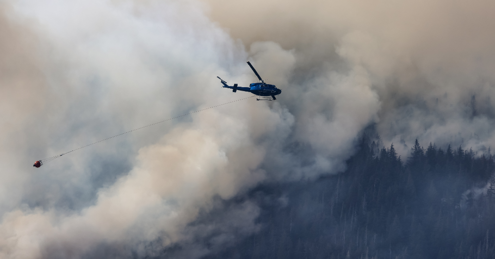 Canada's Wildfires: Climate Change or Human Actions?