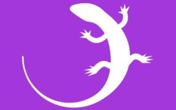 Exploring Quizgecko: The Ultimate Learning Platform