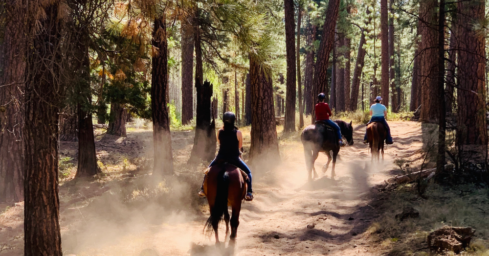 Unforgettable Family Fun: Your Guide to Summer Adventures