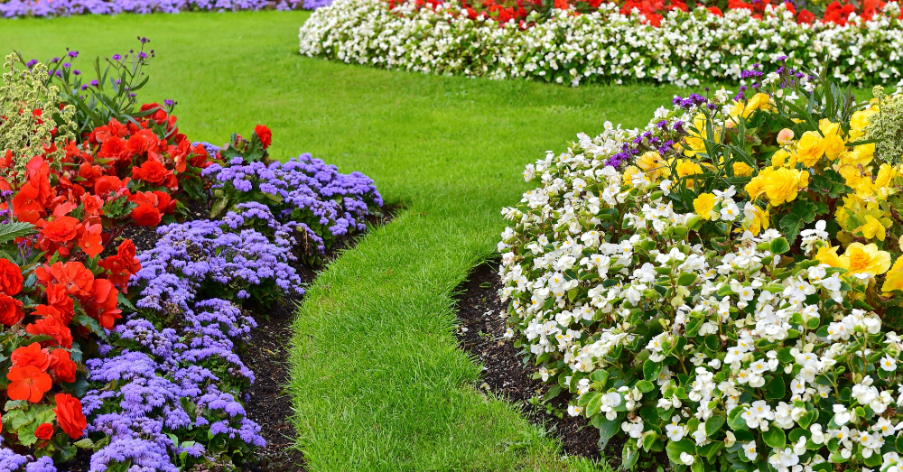 Brighten Your Garden With Beautiful Fall Flowers!