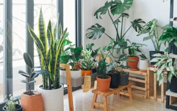 5 Items to Improve Your Health at Home