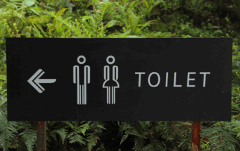 Loo and Behold: Bizarre Bathrooms You have to See to Believe