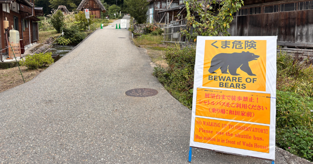 Japanese Tourist Villages Face Growing Bear Crisis as Attacks Hit Record Numbers
