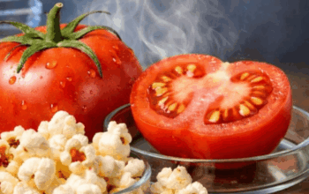 Your Next Tomato Might Smell Like a Movie Theater, Thanks to CRISPR